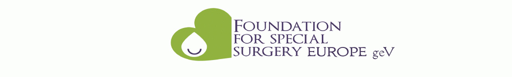 Logo von FFSSE.
